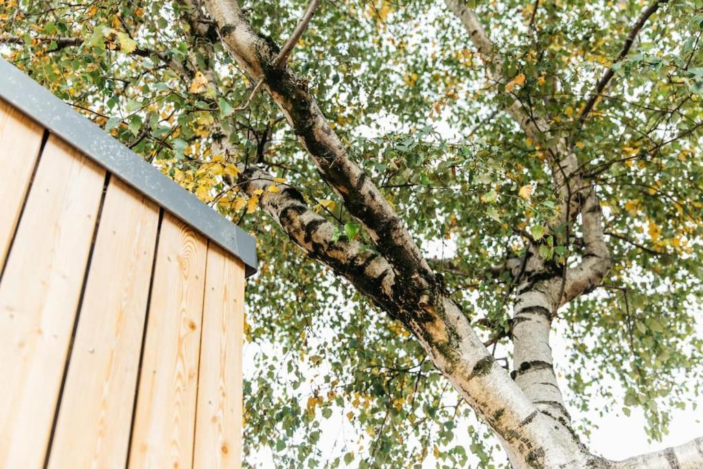 Appartamento Delores Eco-pod / Treehouse, Walk To Cabot Circus